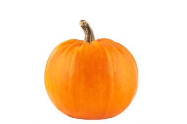 beyaz zemin üzerinde büyük sarı kabak