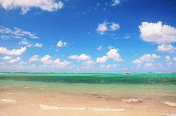 Exotic Beach v Dominikánské republice, punta cana — Stock fotografie