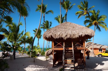 Egzotik plaj Dominik Cumhuriyeti, punta cana