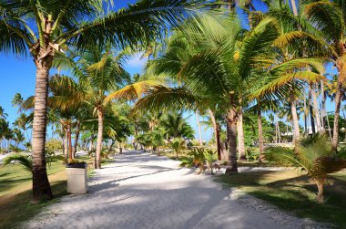 lüks resort beach punta cana, Dominik Cumhuriyeti