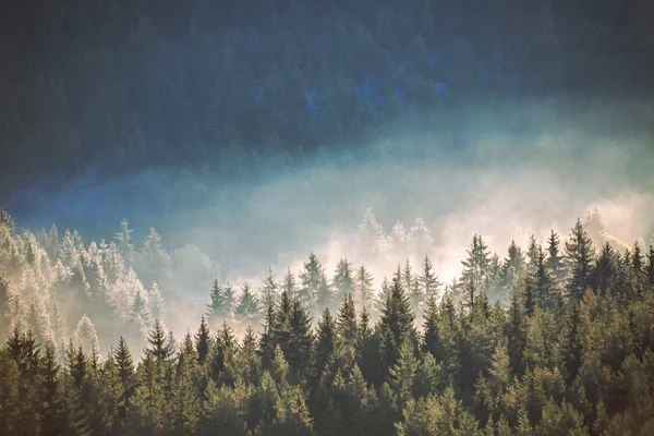 Uitzicht op nevelige mist bergen in de herfst — Stockfoto