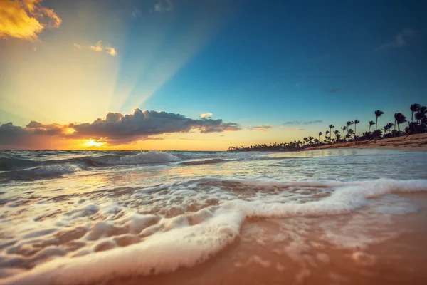 Exotischer Strand in der Dominikanischen Republik, Punta Cana — Stockfoto