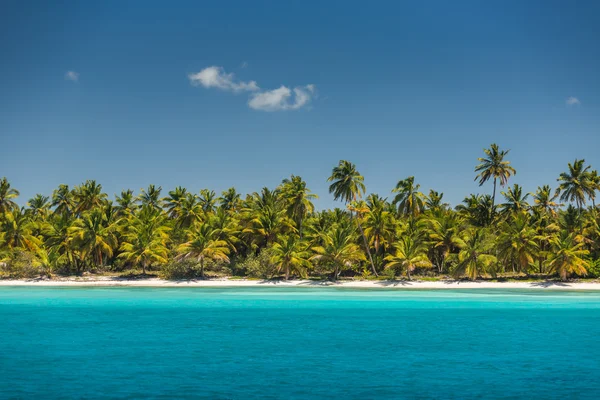 Palmbomen op het tropische strand — Stockfoto