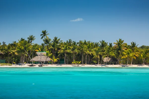 Palme sulla spiaggia tropicale, Repubblica Dominicana — Foto Stock