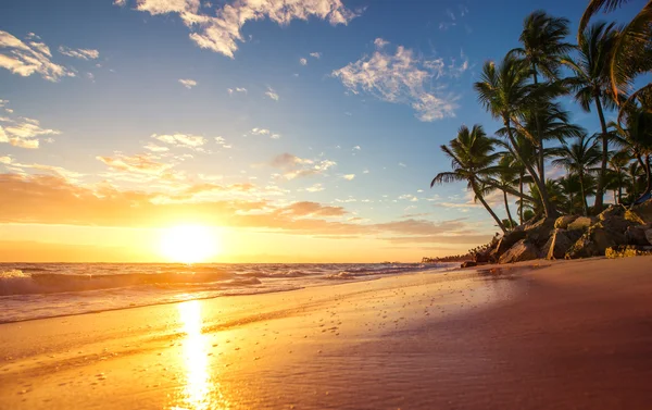 Alba su un'isola tropicale — Foto Stock