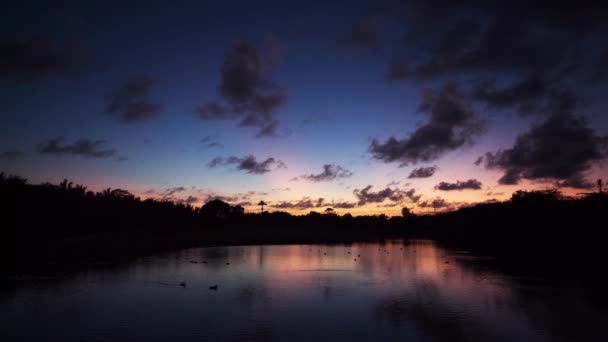 Beautiful sunset at a beach resort in tropics — Stock Video