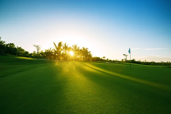 Campo da golf immerso nel verde — Foto Stock