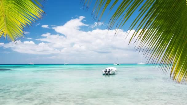 Palmbomen en boot op luxe exotische strand — Stockvideo