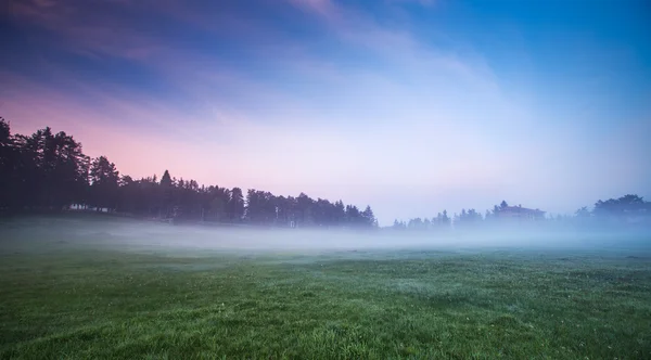 Nevoeiro da manhã no vale com céu azul brilhante — Fotografia de Stock