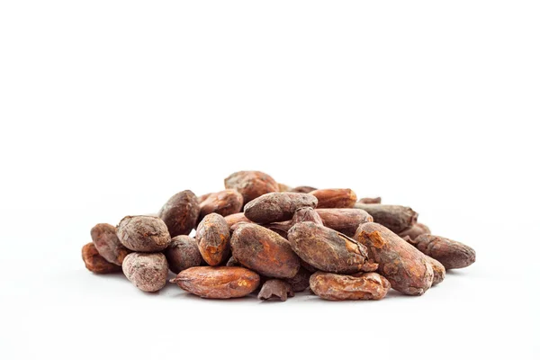 Cacao beans on a white background — Stock Photo, Image