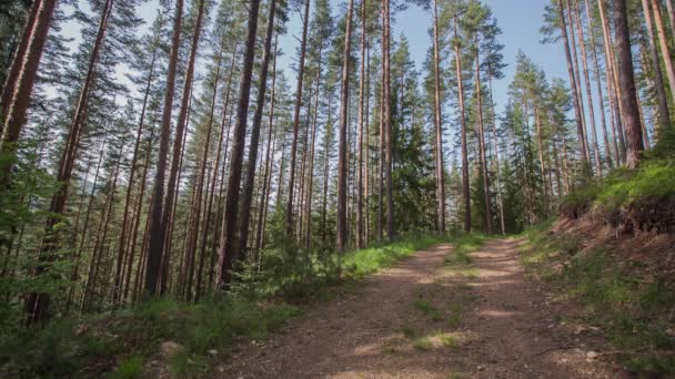 Die Berglandschaft mit grasenden Pferden — Stockvideo