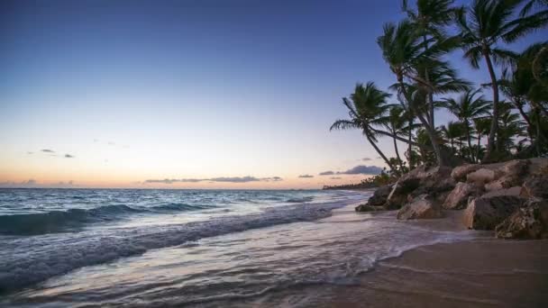 Exotisk stranden i Dominikanska republiken, punta cana — Stockvideo