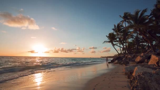 Egzotikus Beach, Dominikai Köztársaság punta cana — Stock videók