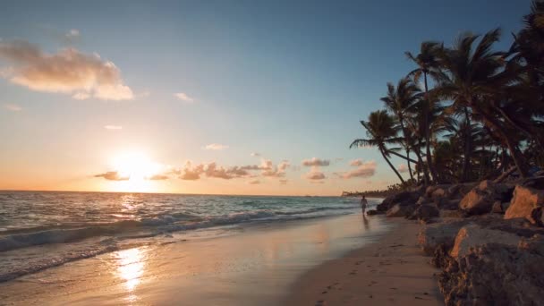 Egzotik plaj Dominik Cumhuriyeti, punta cana — Stok video