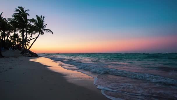 Praia exótica na República Dominicana, punta cana — Vídeo de Stock