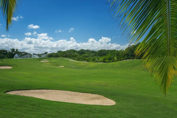 Campo de golf. Hermoso paisaje de un campo de golf con palmeras —  Fotos de Stock