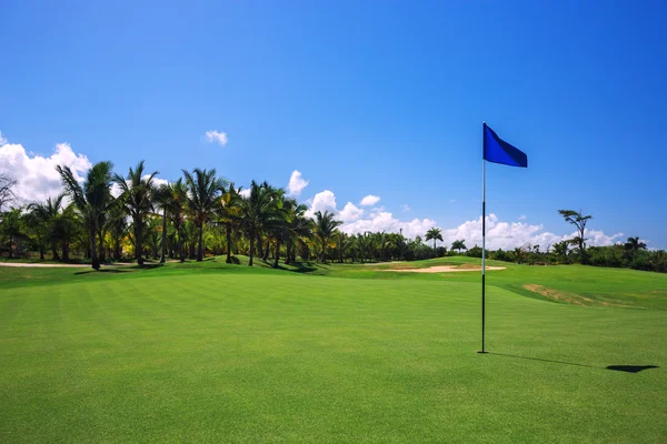 Campo de golf. Hermoso paisaje de un campo de golf con palmeras — Foto de Stock