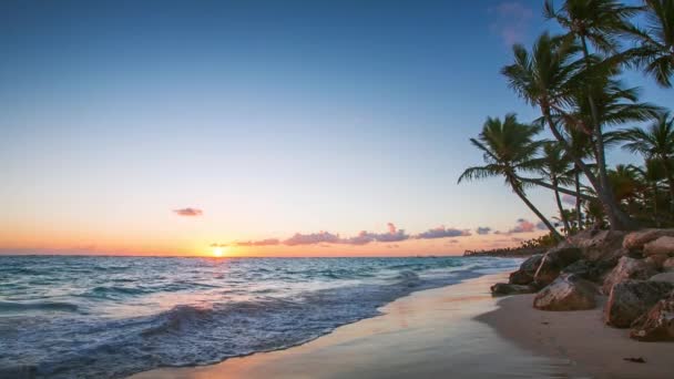 Egzotyczne Beach w Dominikana, punta cana — Wideo stockowe