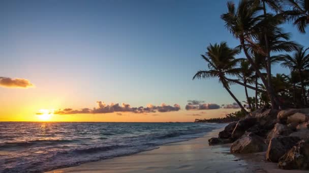 Egzotik plaj Dominik Cumhuriyeti, punta cana — Stok video