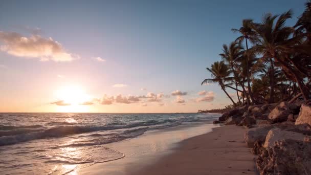 Exotischer Strand in der Dominikanischen Republik, Punta Cana — Stockvideo