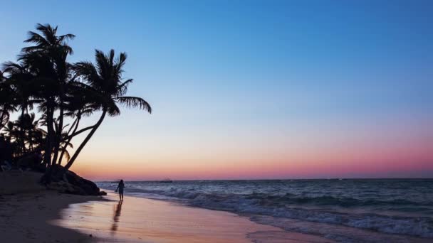 Экзотический пляж в Доминиканской Республике, Пунта-Кана — стоковое видео
