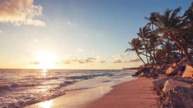 Egzotik plaj Dominik Cumhuriyeti, punta cana