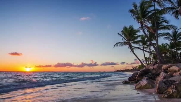 Praia exótica na República Dominicana, punta cana — Vídeo de Stock