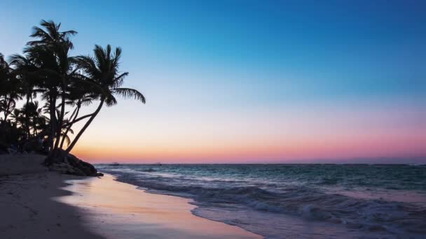 Playa Exótica en República Dominicana, punta cana — Vídeos de Stock