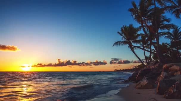 Spiaggia esotica in Repubblica Dominicana, punta cana — Video Stock