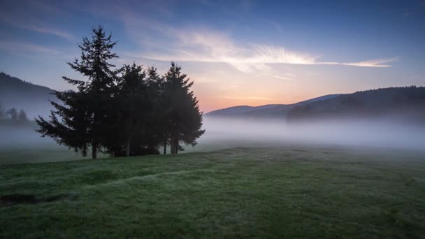 Mgła pokryte drzewami w dolinie ze jasne błękitne niebo — Wideo stockowe