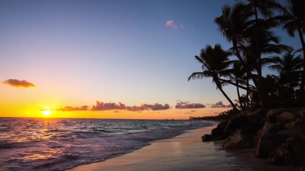 Spiaggia esotica in Repubblica Dominicana, punta cana — Video Stock