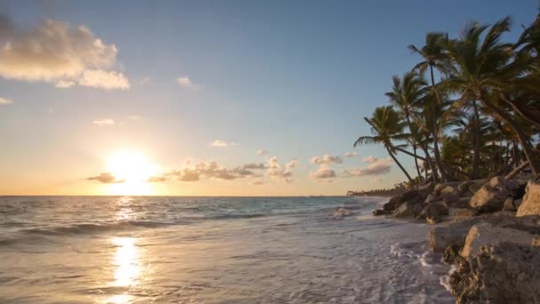 Egzotik plaj Dominik Cumhuriyeti, punta cana — Stok video