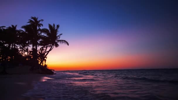 Exotisk stranden i Dominikanska republiken, punta cana — Stockvideo