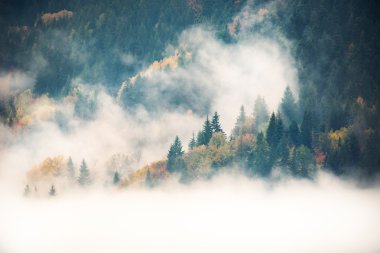 Güzel sonbahar manzarası dağlarda