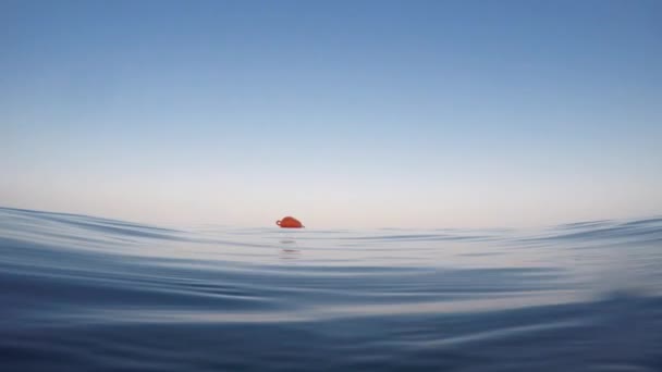 Surface de la mer avec ondulations et vagues — Video