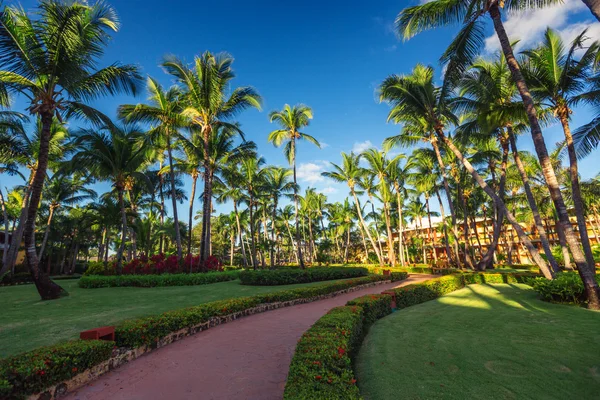 Väg och tropisk trädgård i beach resort, Punta Cana — Stockfoto