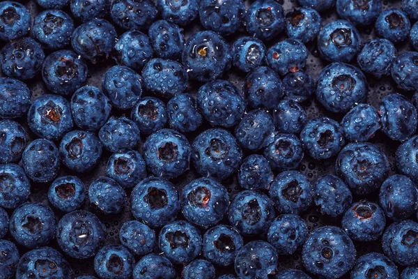 Healthy blueberries background — Stock Photo, Image