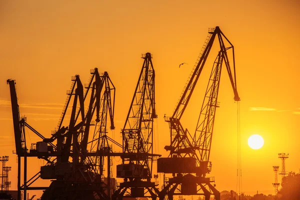 Silhouette of sea port cranes in the evening — Stock Photo, Image