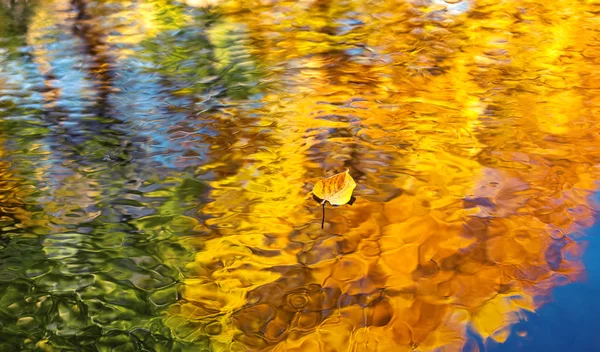 Hoja de otoño colorido en el agua — Foto de Stock