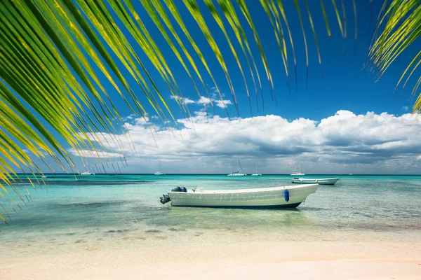 Praia exótica na República Dominicana, punta cana — Fotografia de Stock