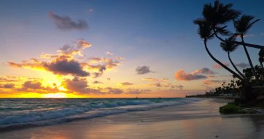 Punta Cana, Dominik Cumhuriyeti 'nin egzotik adasındaki Karayip deniz plajı