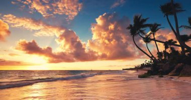 Ada okyanusu sahilleri ve palmiye ağaçları üzerinde manzara rengi günbatımı