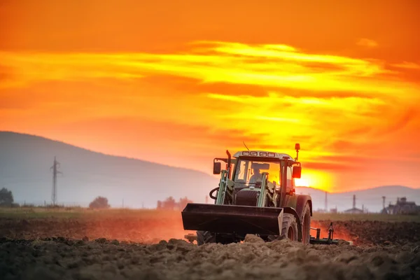 Trekker met de cultivatiebeoefenaar behandelt veld voor het planten, zonsondergang sh — Stockfoto