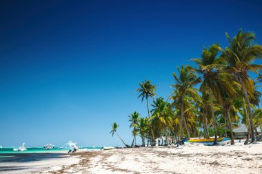 Palmiye ağaçları ve denizde seyahat botları olan egzotik tropikal sahil kıyıları, Dominik Cumhuriyeti 'nde tatil.