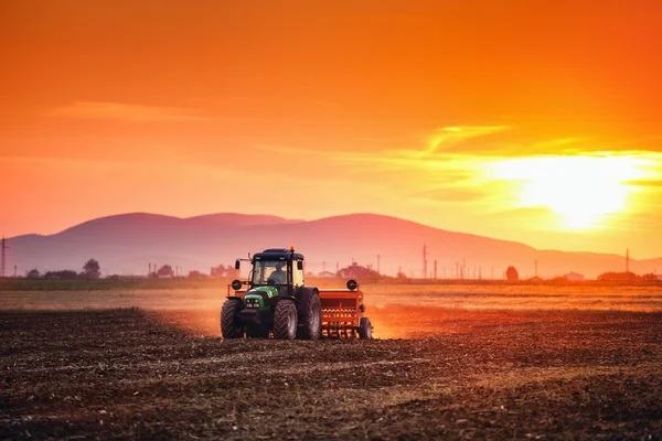 Vacker solnedgång, bonde i traktor förbereda mark med grogrund Stockfoto