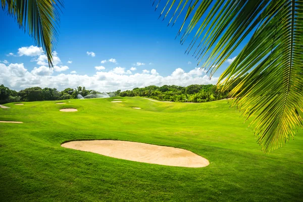 Bellissimo paesaggio di un campo da golf con palme a Punta Can — Foto Stock