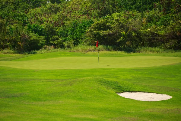 Bellissimo paesaggio di un campo da golf con palme a Punta Can — Foto Stock