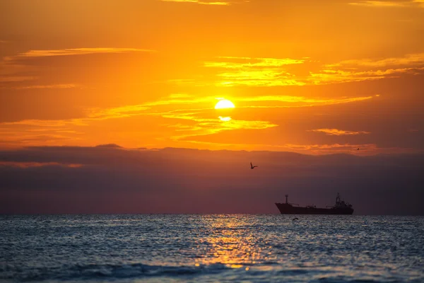 Nascer do sol panorâmico sobre o mar. Aves voadoras e navios de carga à vela — Fotografia de Stock