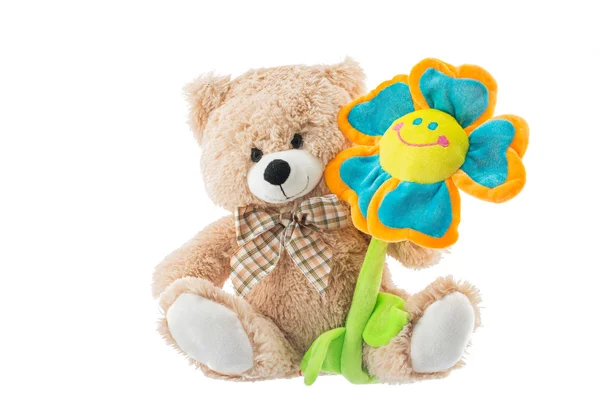 Medvídek držící květina na bílém pozadí — Stock fotografie
