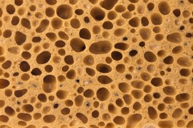 Banyo sünger doku arka planı için
